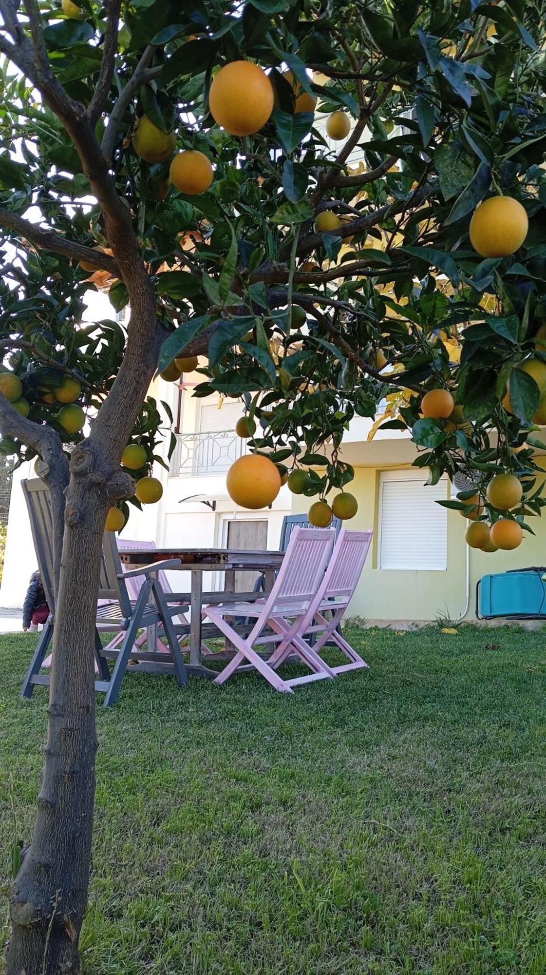 Katia 'S Country House Sikion Esterno foto